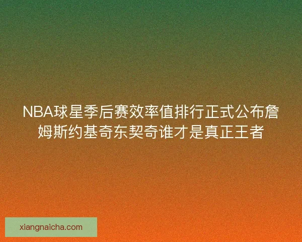NBA球星季后赛效率值排行正式公布詹姆斯约基奇东契奇谁才是真正王者