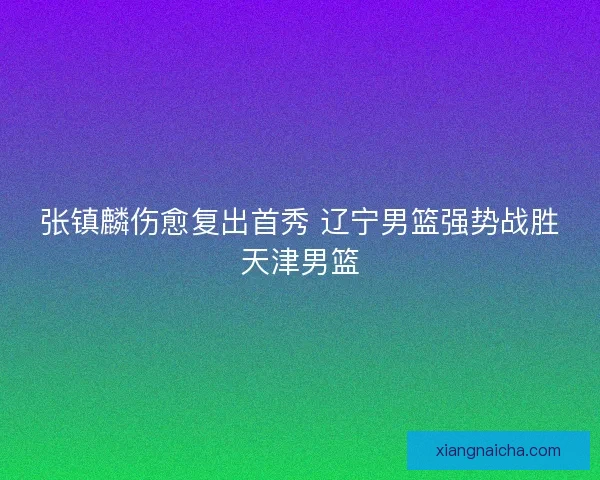 张镇麟伤愈复出首秀 辽宁男篮强势战胜天津男篮